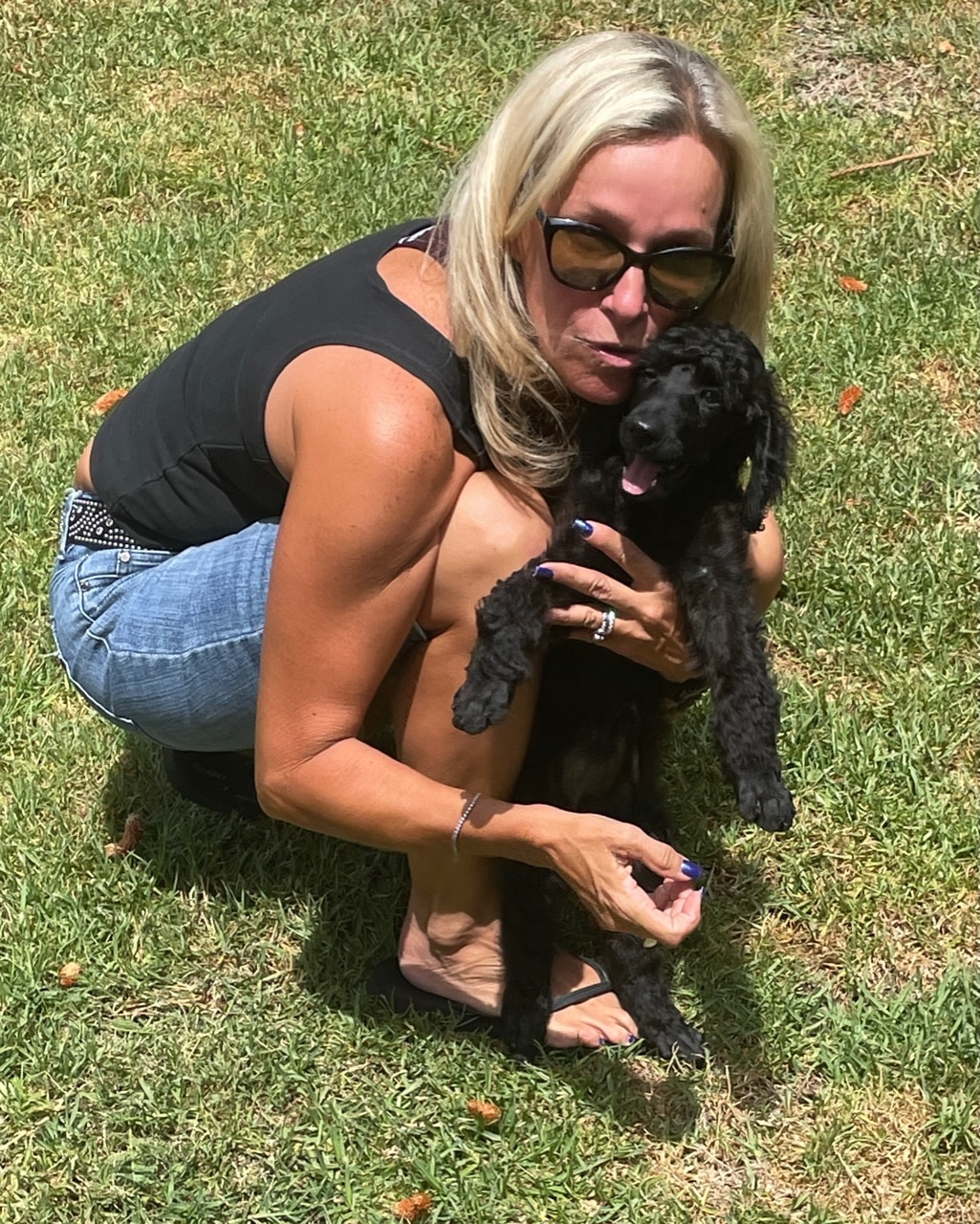 Lahaina The Brindle Standard Female Poodle - Image 7