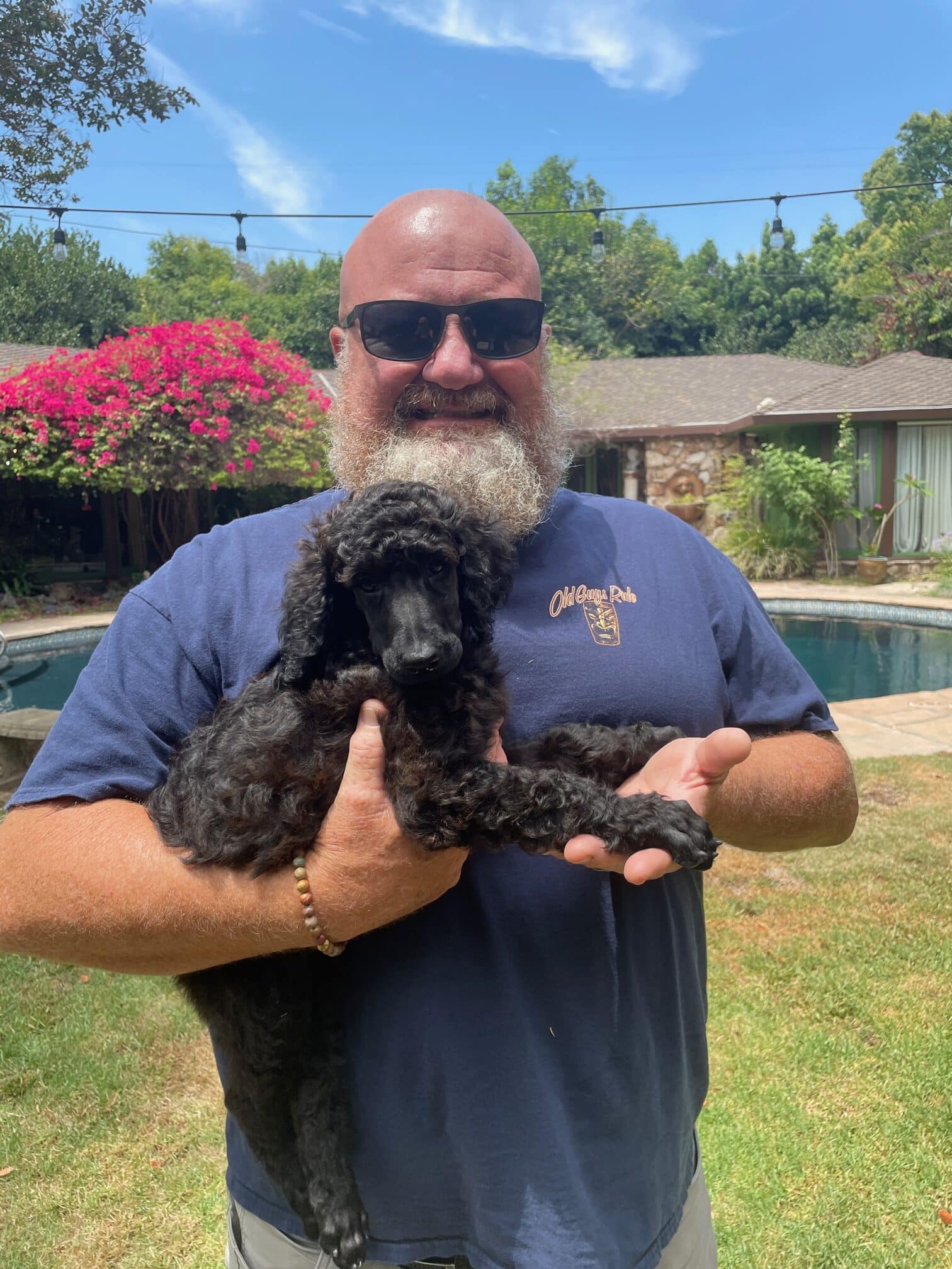 Lahaina The Brindle Standard Female Poodle - Image 8