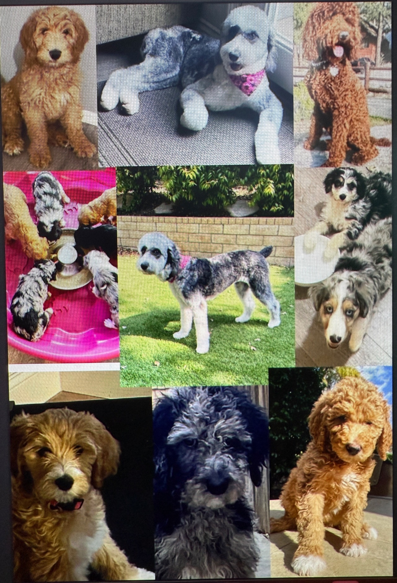 Doodle boys and girls!!!